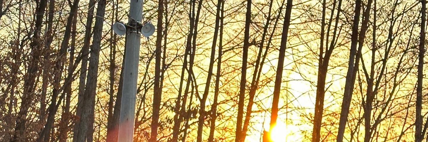straezz's profile banner image