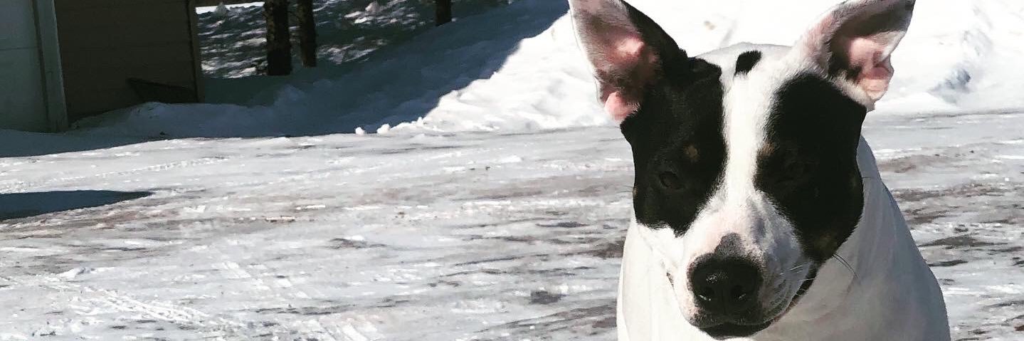 emnehls's profile banner image