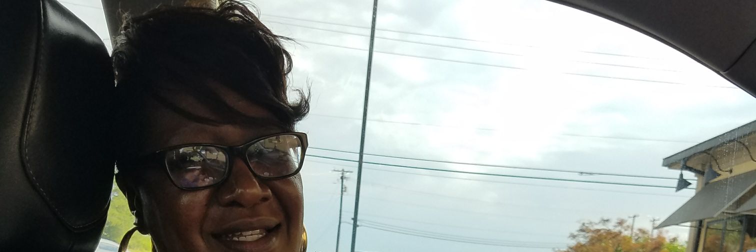 MinervaMinnieDendy banner