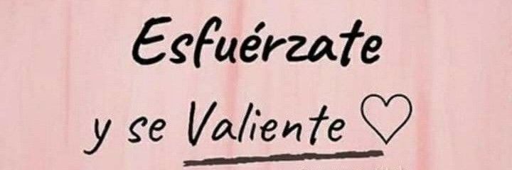 MonicaLBDuarte's profile banner image
