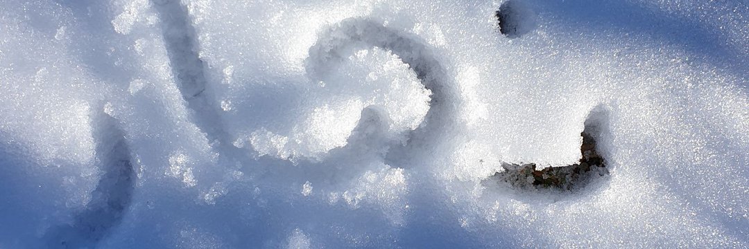 Nr_second's profile banner image