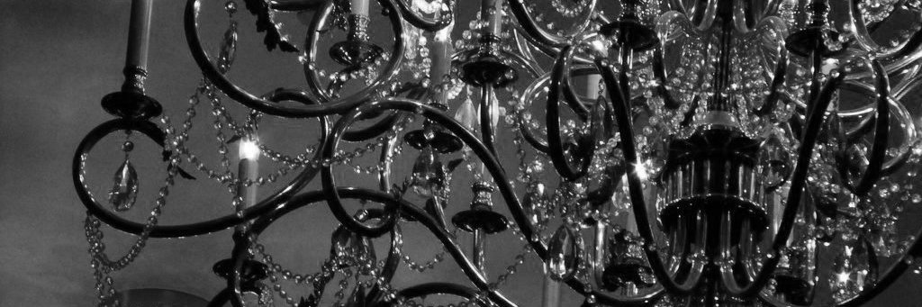 mernathefrog's profile banner image