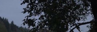 ldon0ll's profile banner image