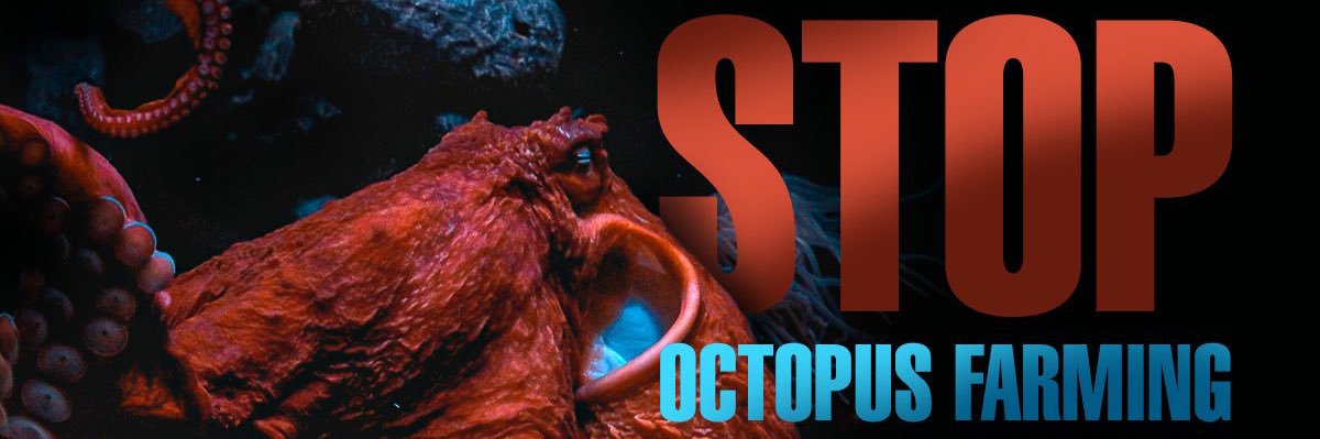 Climate Save Movement banner