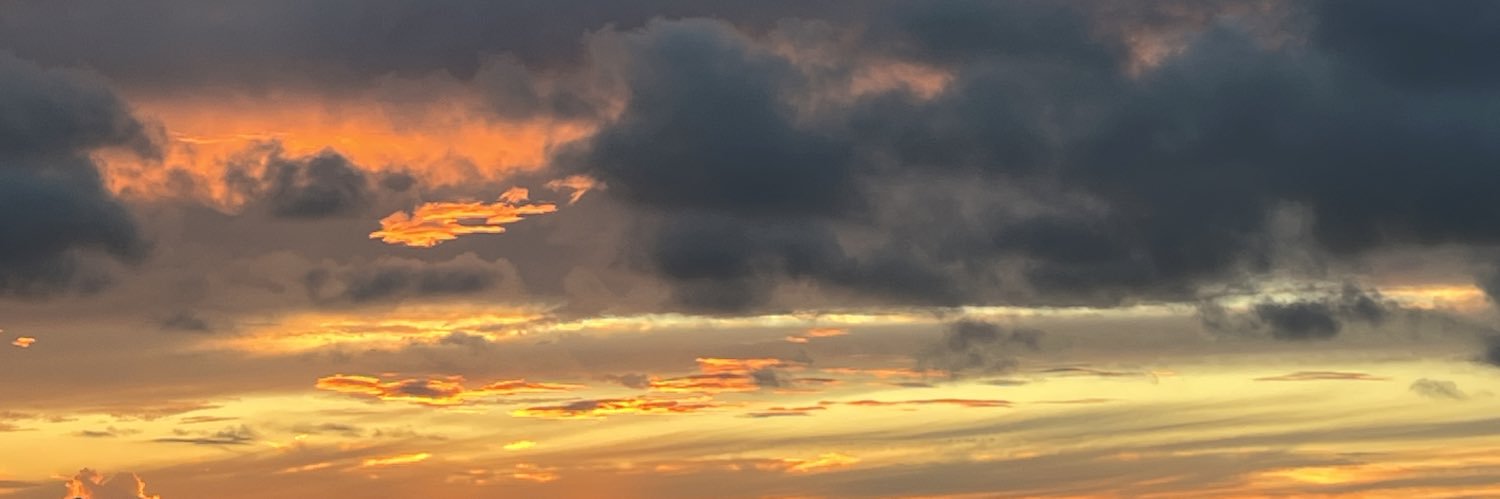 michalamills's profile banner image