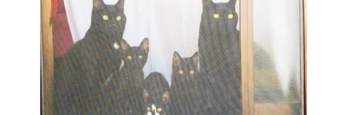 0_don_10's profile banner image
