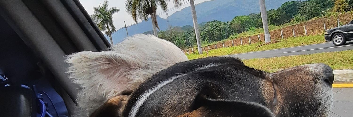 FerxDIP's profile banner image