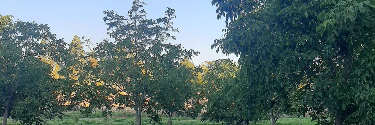 MRaquelfue's profile banner image