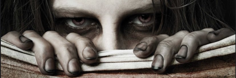 ZombiesTimes's profile banner image
