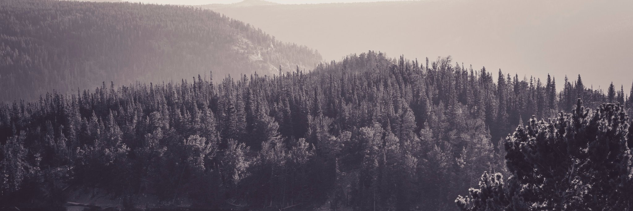 zachfedor's profile banner image