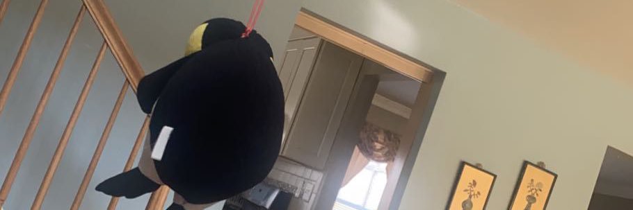 castroisaiah_'s profile banner image