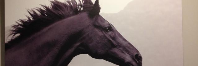 firstatmy's profile banner image
