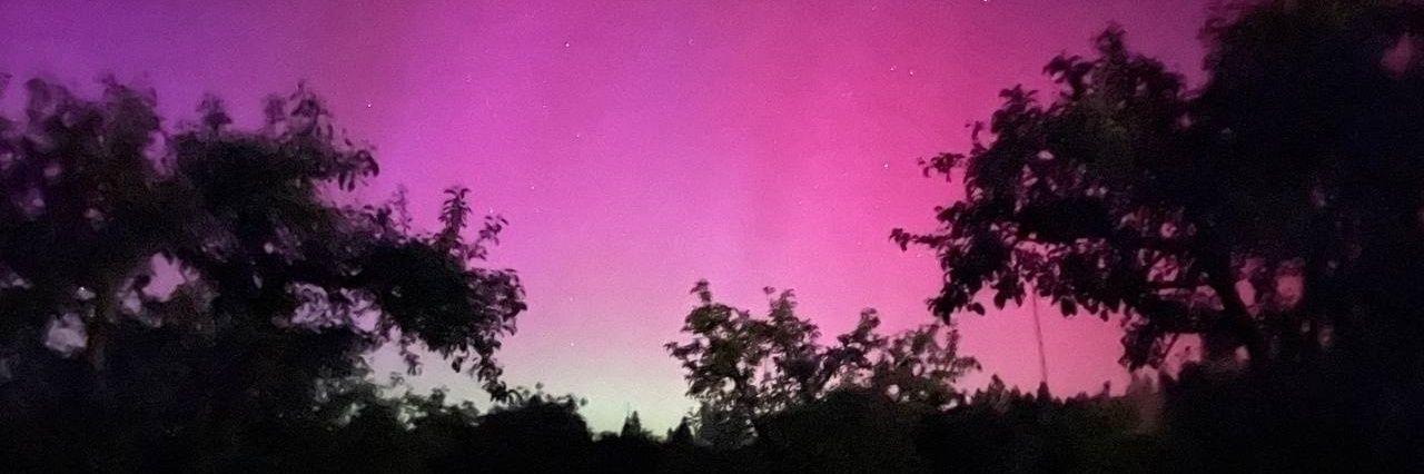 Lori Gilbert, L.Ac banner