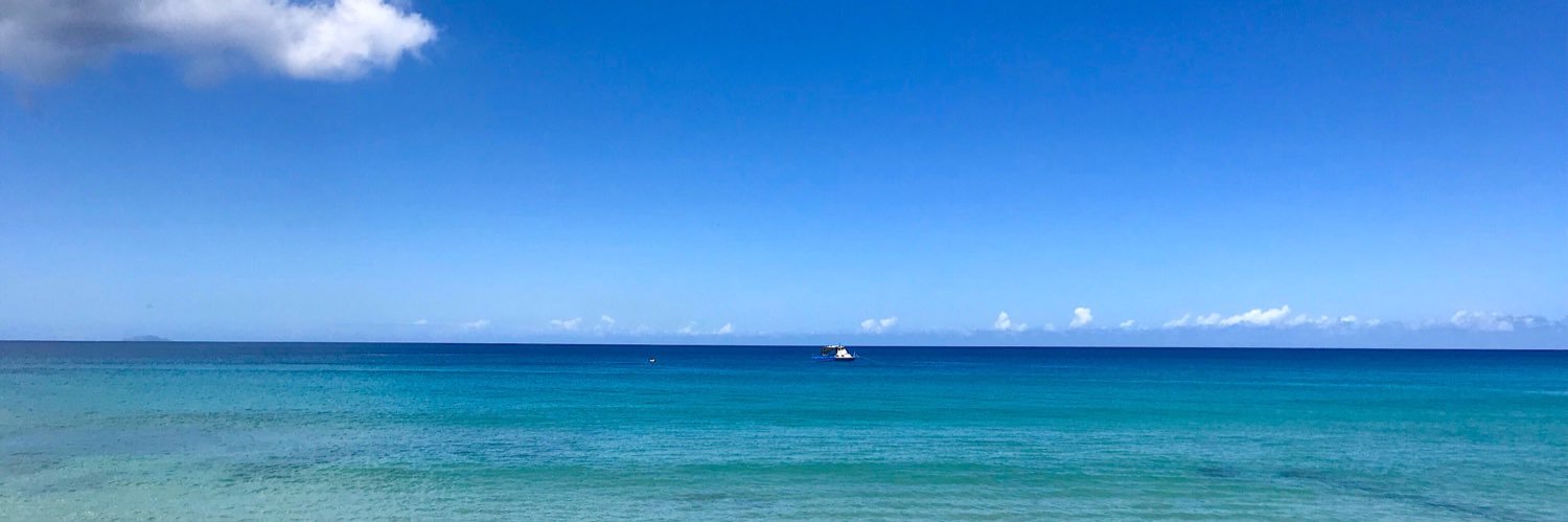 Xavier Valcárcel banner