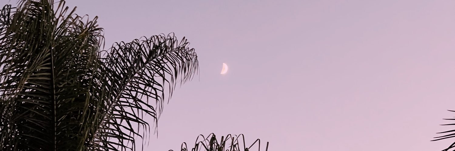 libbydeiner's profile banner image