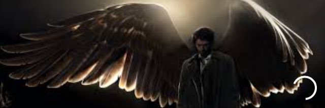 penguin_fancy's profile banner image