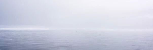 llDandell's profile banner image
