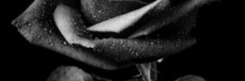 BlakeMario's profile banner image