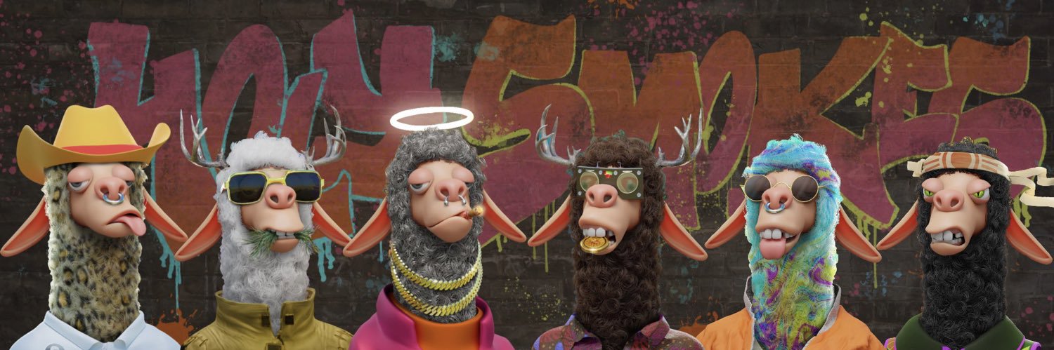 dachopstikk's profile banner image