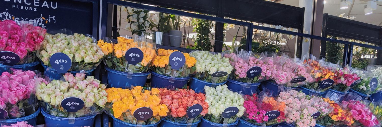 ℝandi ℝuppert banner