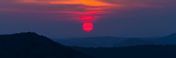 robertcourson Profile Banner