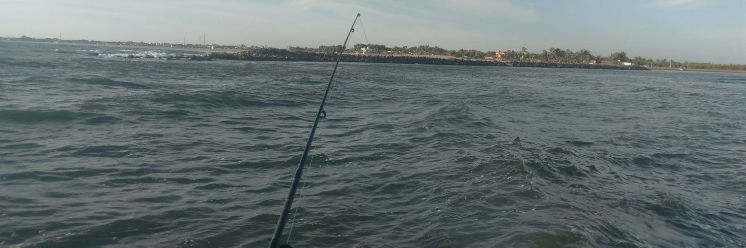 elenosanchez's profile banner image