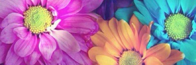 HerreraG__'s profile banner image