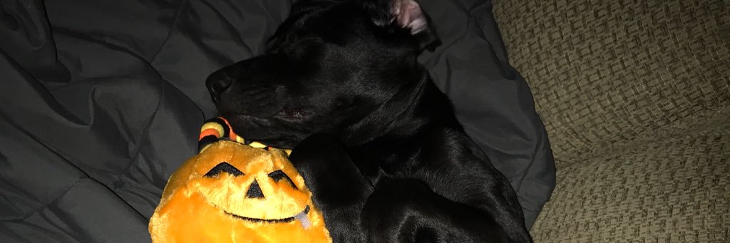 Cheddar_Cole's profile banner image