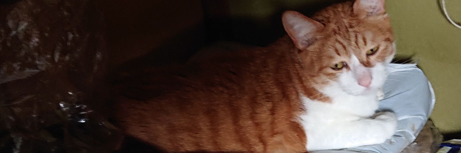 kappachou's profile banner image