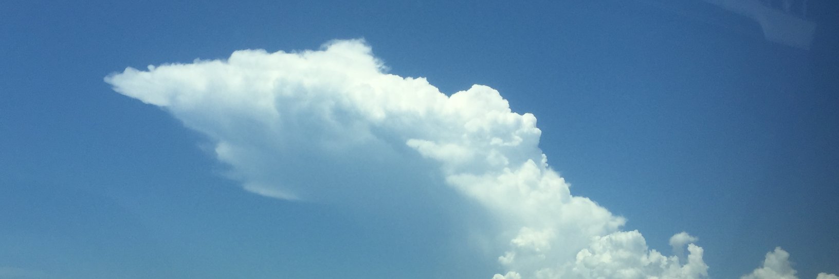 Rashida Nasrin Sucky banner