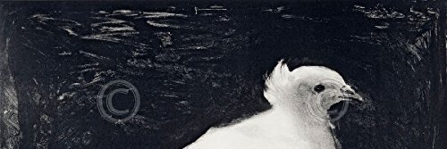 lulee54's profile banner image
