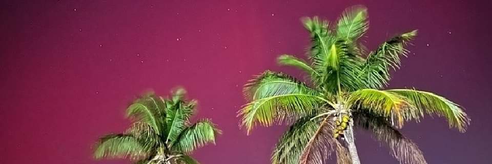 Eddie _Solid_G banner