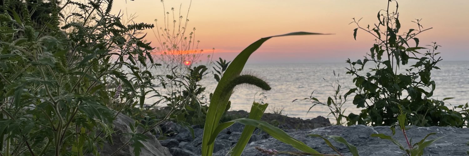 stittlo's profile banner image