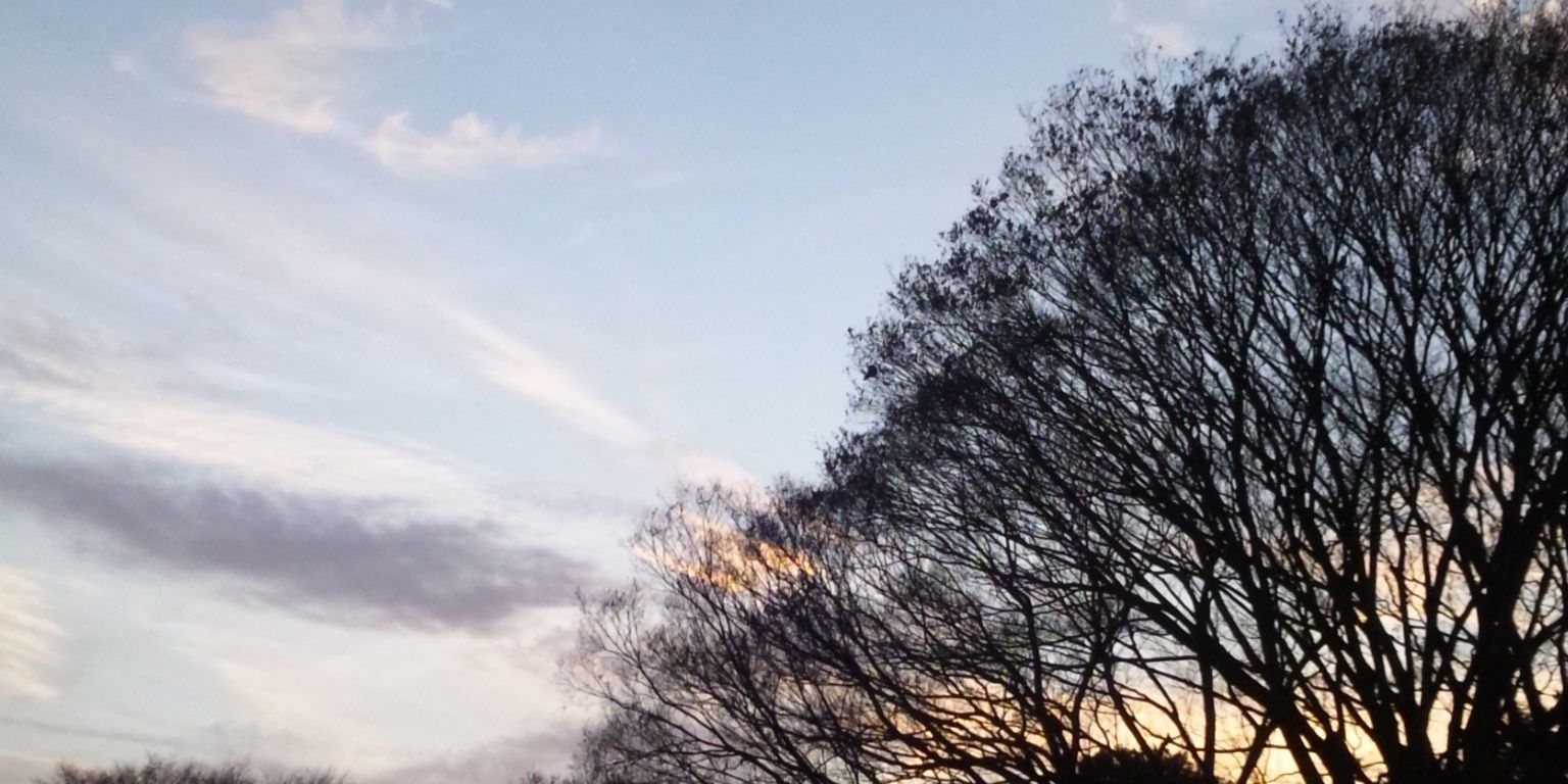 ref77811's profile banner image