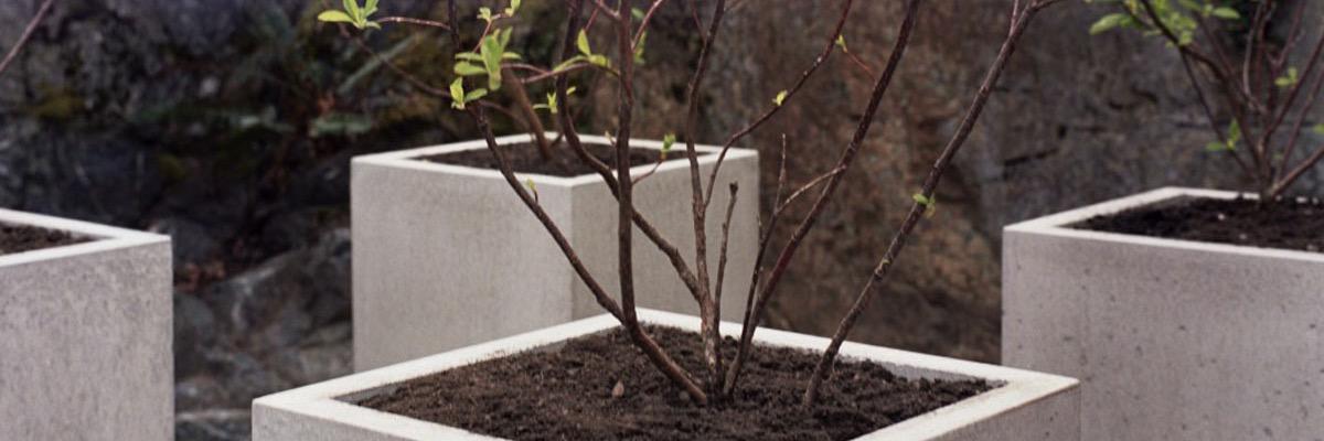 landscapecanada's profile banner image
