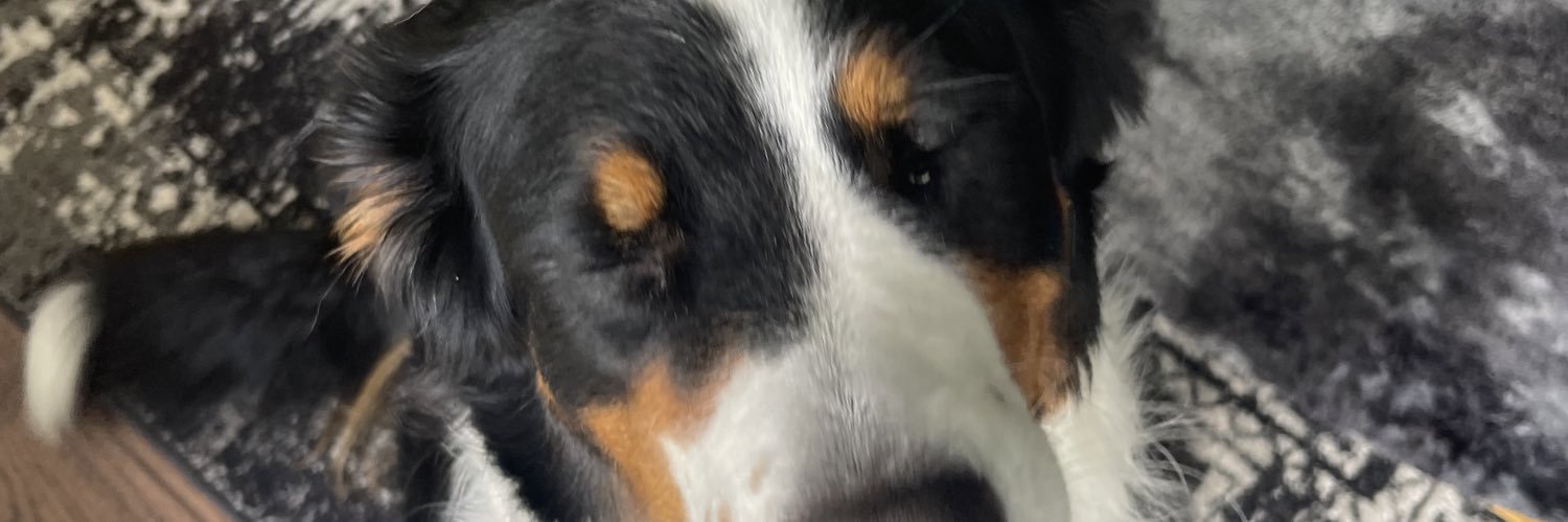 Stephenarsnault's profile banner image