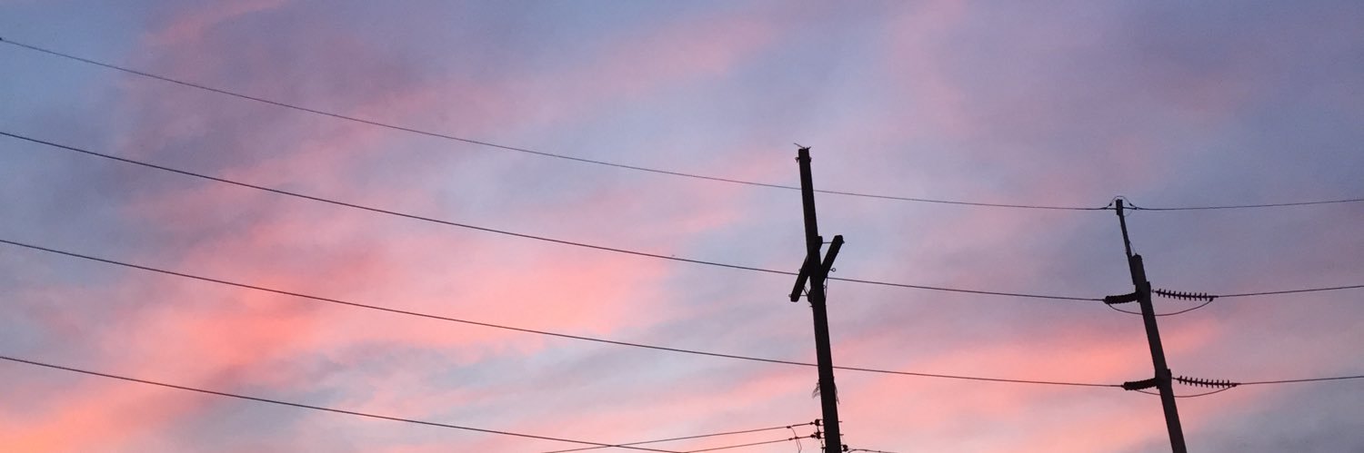 🌷 banner
