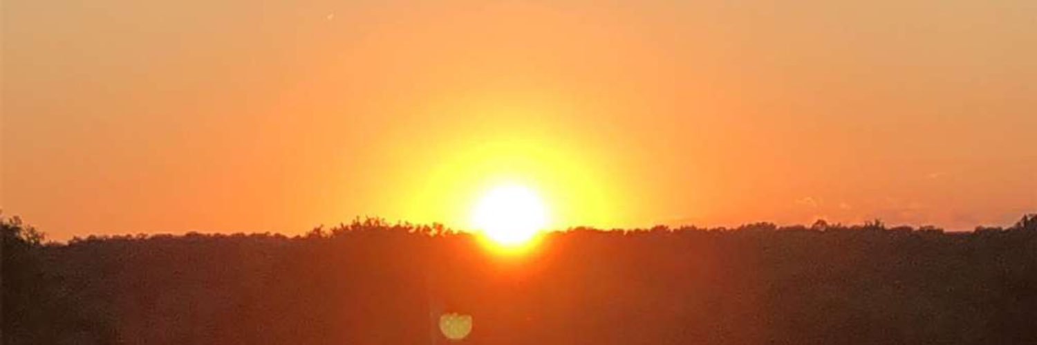 Andrew Walling banner