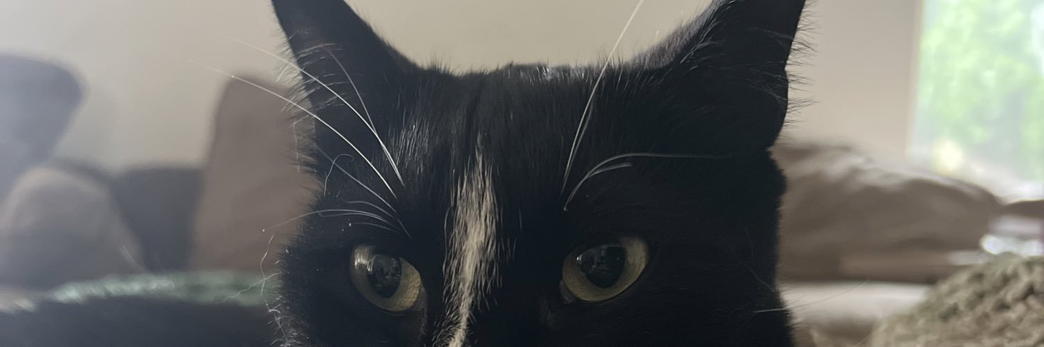 dani61111's profile banner image