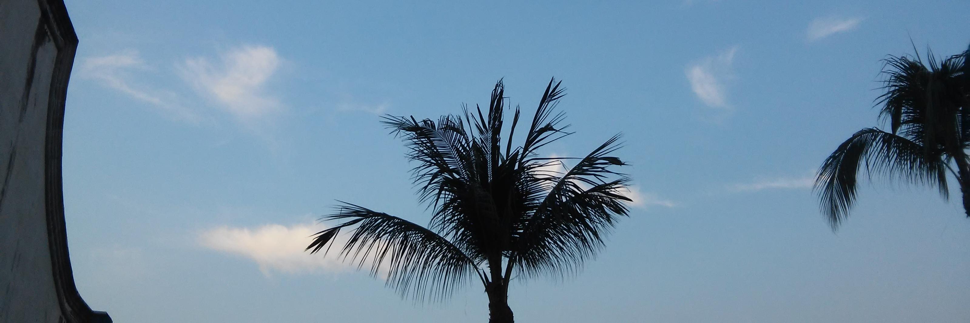bgrana2's profile banner image
