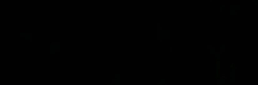 LopezTevellj12's profile banner image