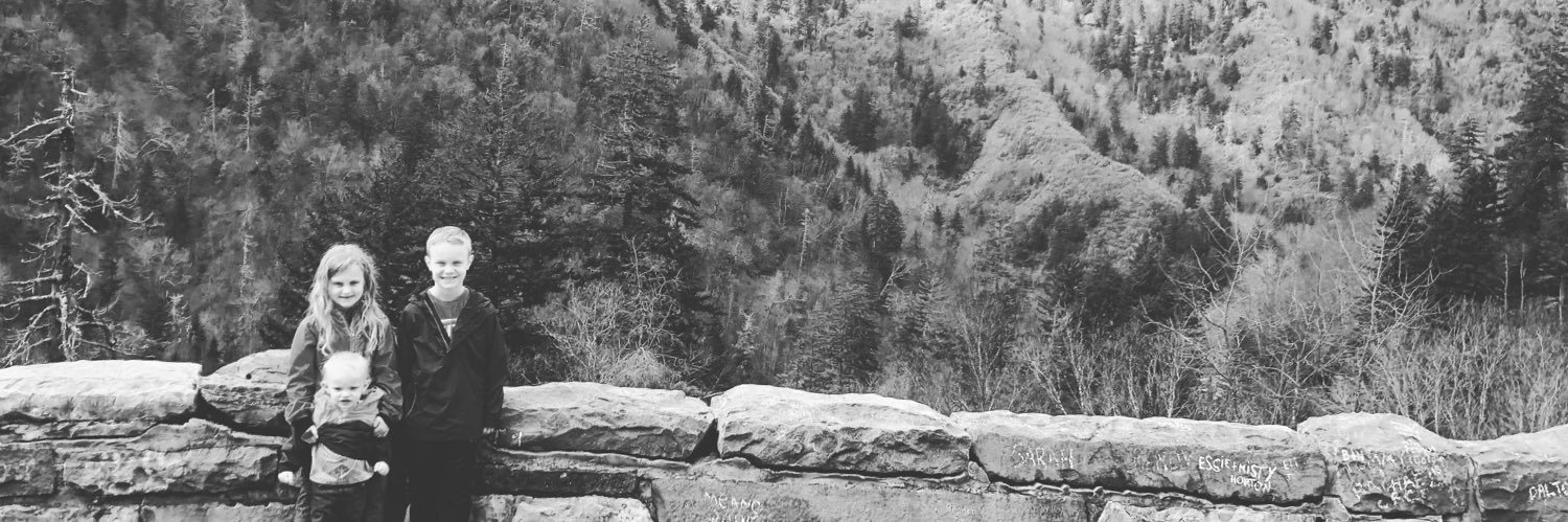 BrittRene's profile banner image