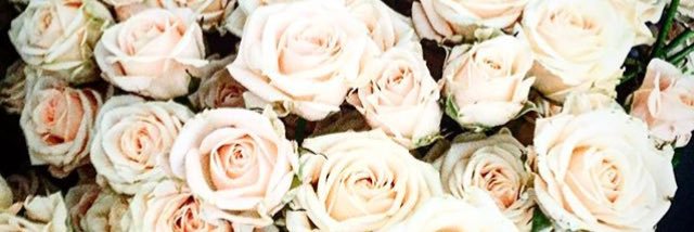 gabydefty's profile banner image