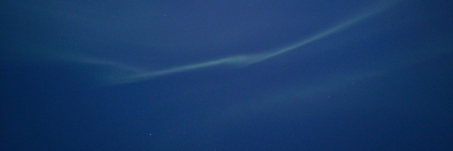 Viviana Maria Gamboa Sojo banner