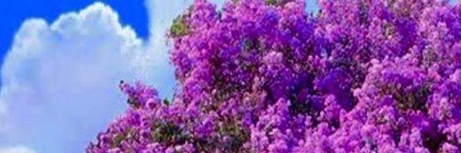 natieabar's profile banner image