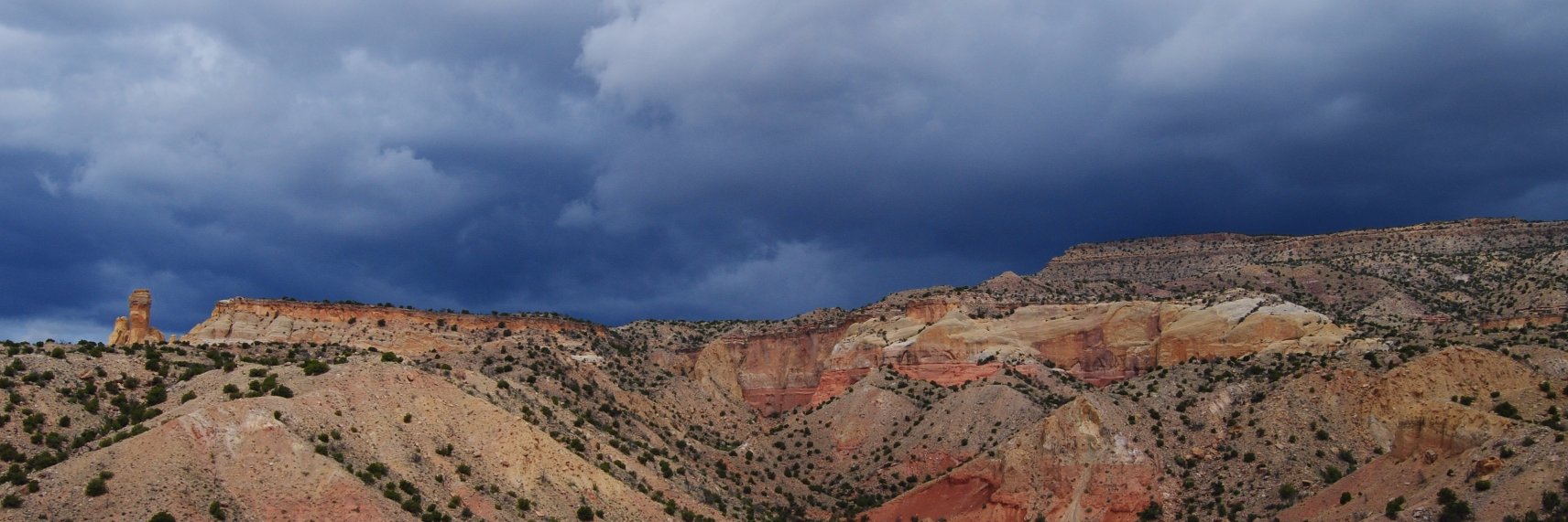 Dr. Brittany Fallon banner