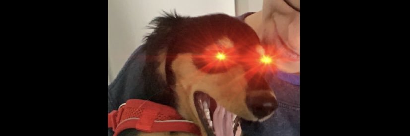 ZachMGill's profile banner image