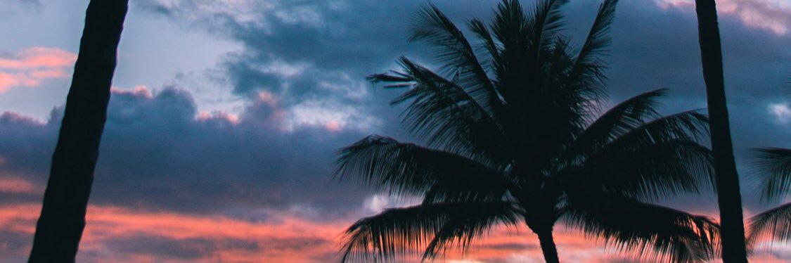 VascoThe1st's profile banner image