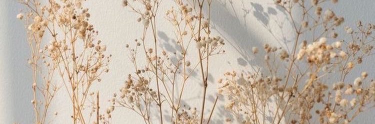 genasour's profile banner image