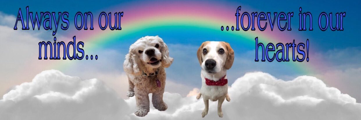 KareeRogue's profile banner image